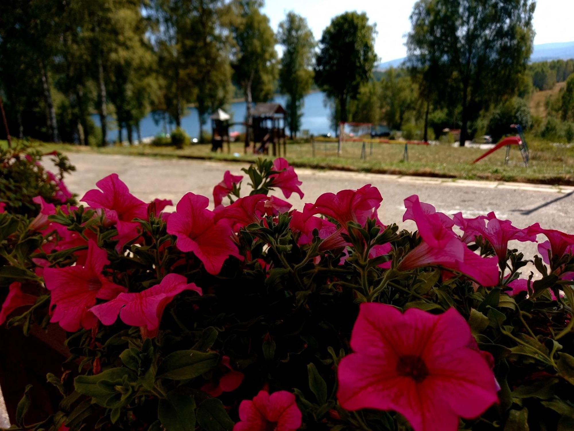 Hotel Vlasina - Vlasinsko Jezero Vlasina Rid Exterior photo